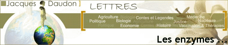 Les enzymes ...