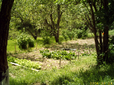 wp1f349a83.png